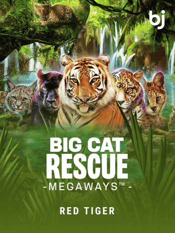 Big Cat Rescue Megaways™png